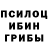 Псилоцибиновые грибы Psilocybe Promila Bembey
