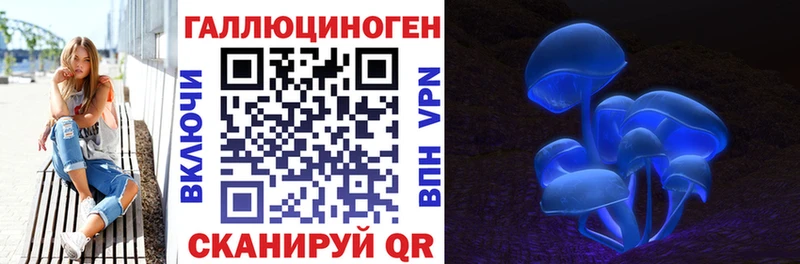 где можно купить   Канск  Галлюциногенные грибы мухоморы 
